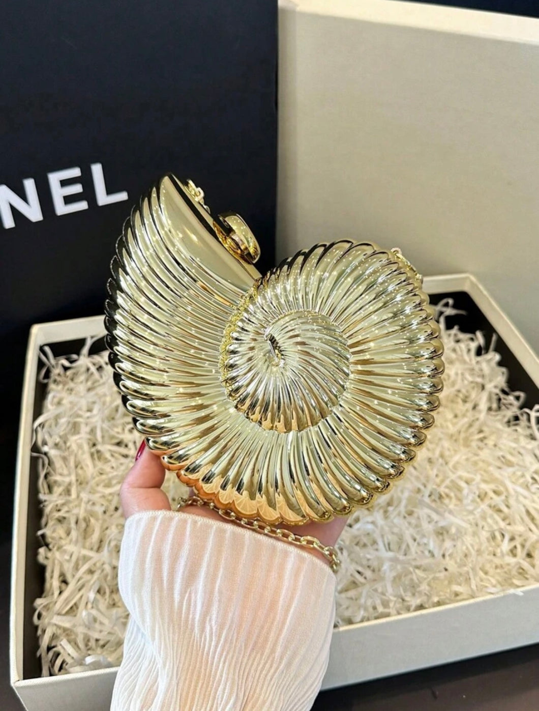 Seashell Conch Clutch